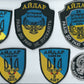 UKRAINE - UKRAINIAN PARAMILITARY BATTALION AYDAR  AJDAR