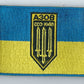 New ARMY of UKRAINE BATTALION UNIT AZOV A30B PATCH CCO Kyiv Kiev Regiment 3D PVC Rubber Patch