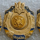 MODERN UKRAINIAN MILITARY BADGEs Variations Airborne Tank Artilery Spec Ops etc